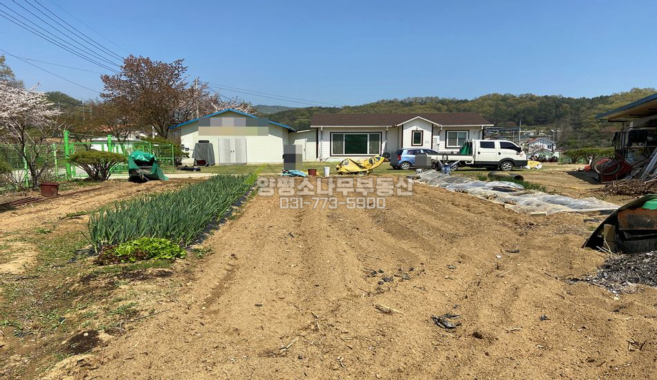 양평군 양평읍 도곡리 2차선 대로변 주택/창고/계획관리