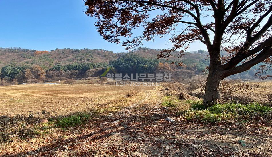 양평군 양동면 계정리 시골마을 내 주택지