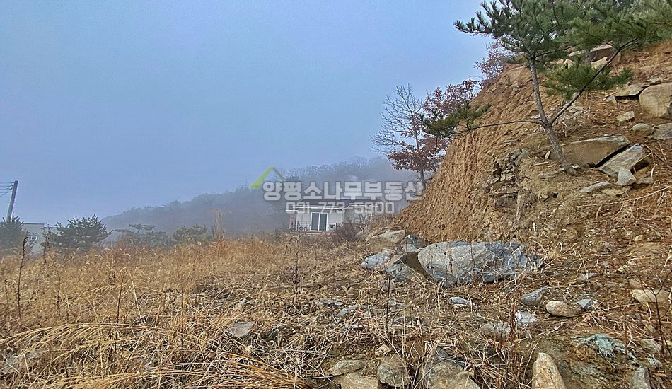 양평군 양서면 증동리 자연림 주택지/토목필요