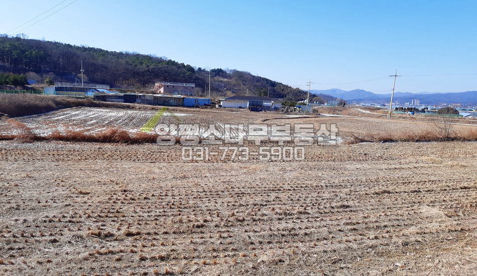 양평군 개군면 자연리 저수지, 대로변 인근 논/건축가능