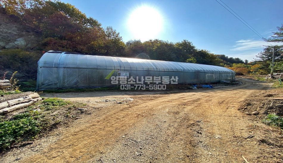 양평군 서종면 정배리 마을상단 부지