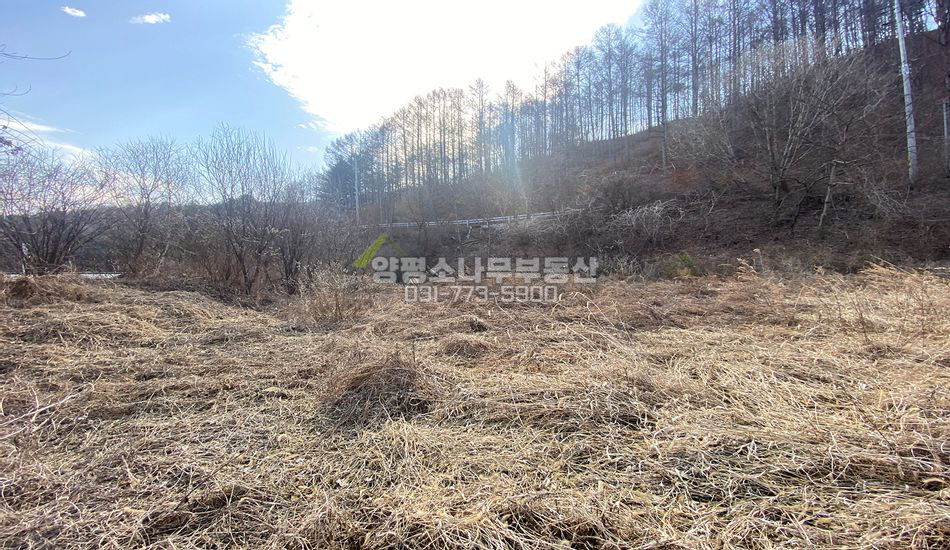 양평군 단월면 산음리 산음휴양림 인근 주택지/주말농장