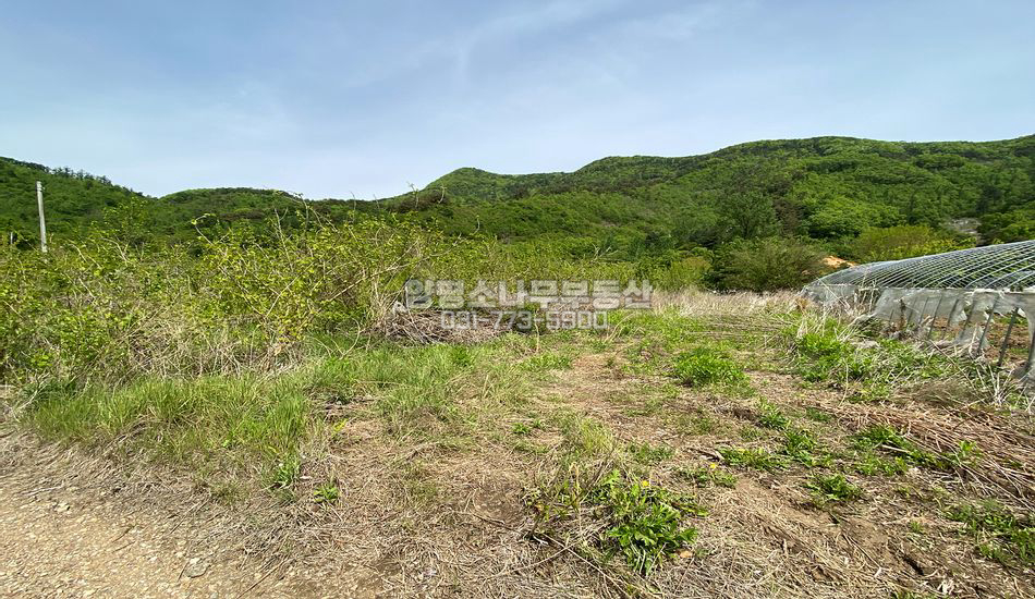 양평군 강상면 대석리 대석리 편한 주택지/계획관리
