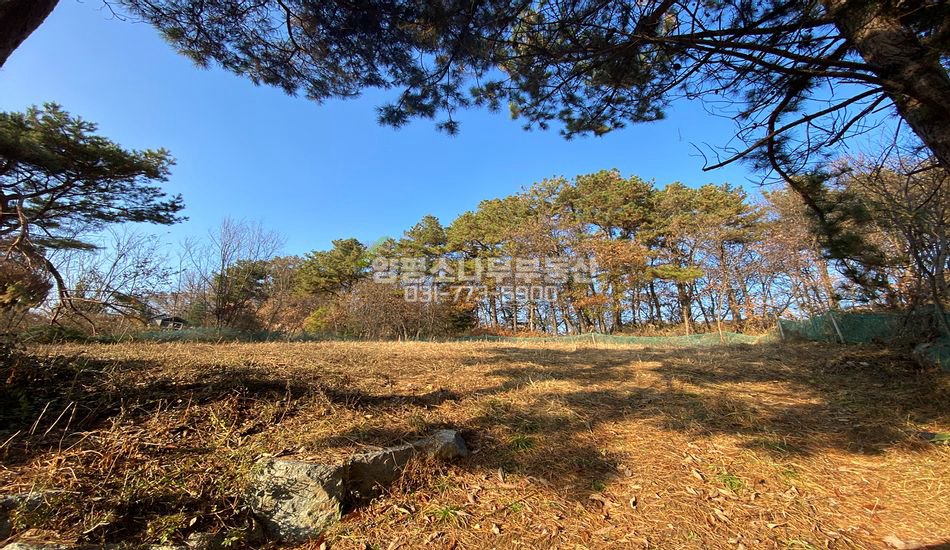 양평군 양서면 복포리 접근성 좋은 아늑한 동네