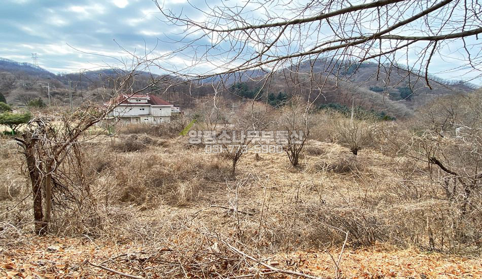 양평군 옥천면 신복리 풍광좋은곳 깔끔한 단지형 주택지