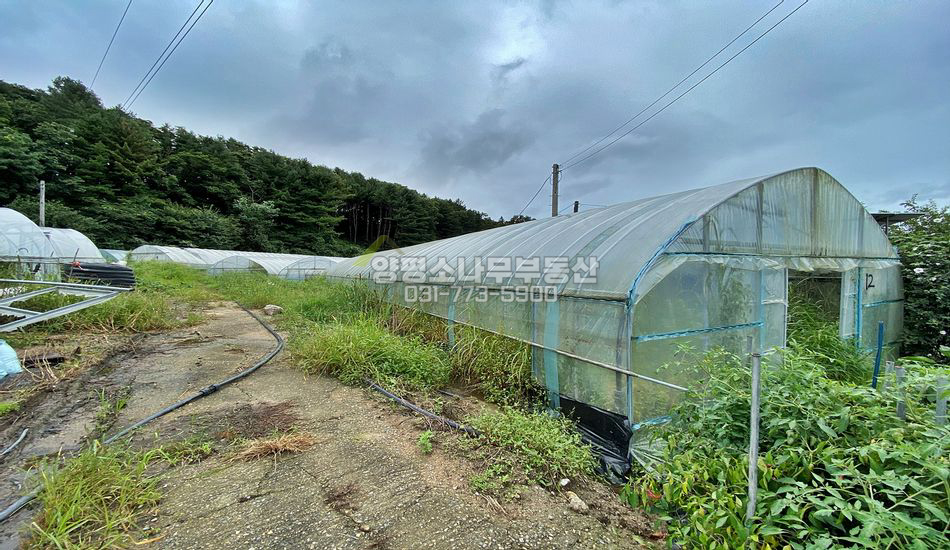 양평군 양동면 석곡리 마을 내 하우스 있는 주택지