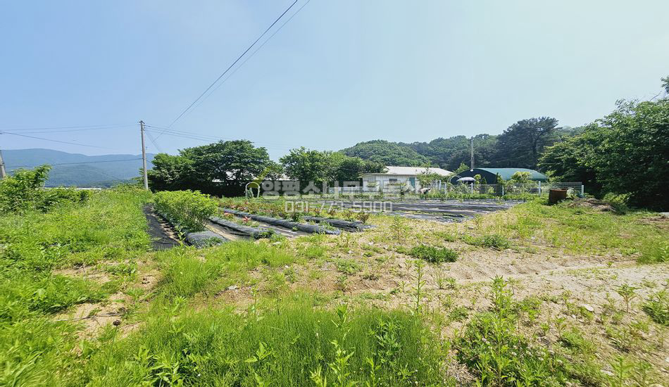 양평군 용문면 삼성리 [급] 평편한 평지 관리지역 농지