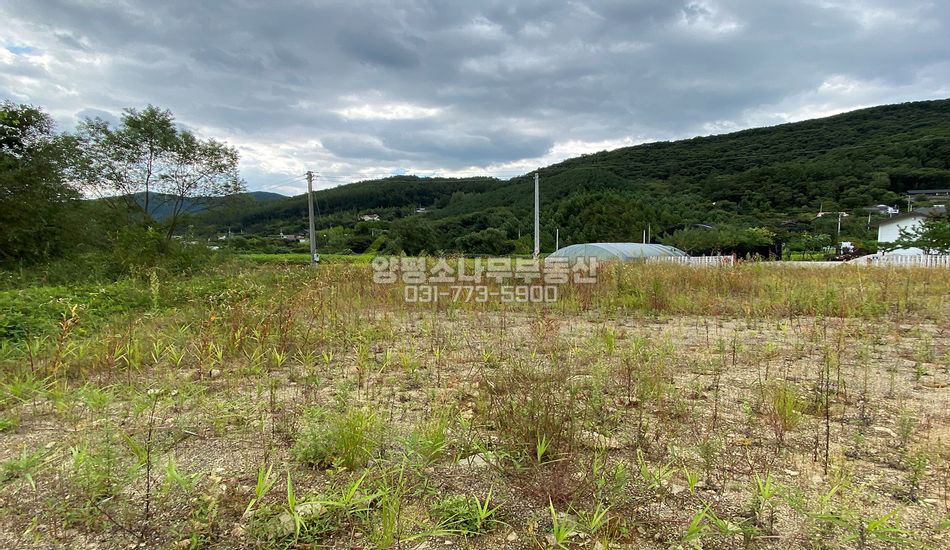 양평군 강상면 세월리 평편한 농경지/농막놓기 좋음