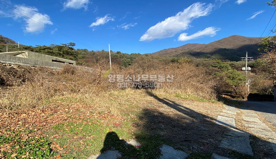 양평군 옥천면 용천리 인기단지형 주택지/토목필요