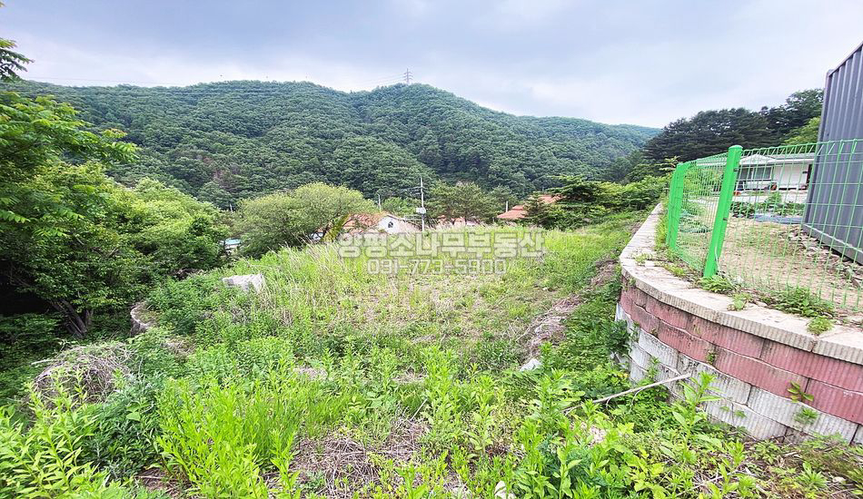 양평군 서종면 노문리 단지 상단 주택지