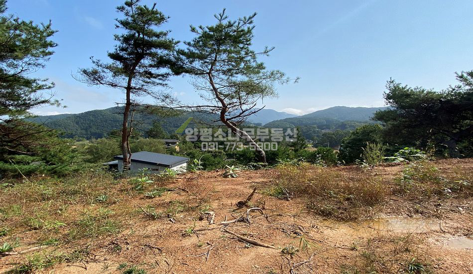 양평군 강하면 왕창리 단지상단 강조망 필지