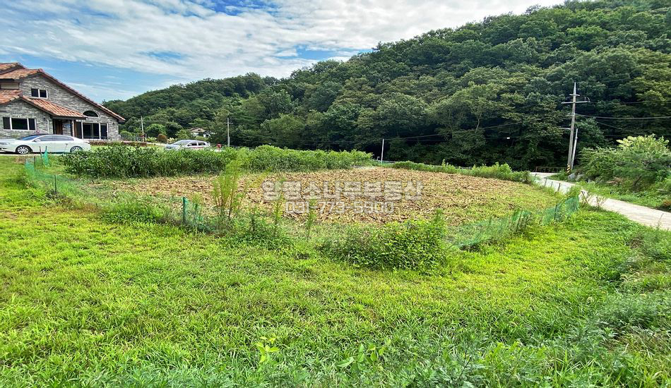 여주시 금사면 전북리 구거 접한 기다란 토지