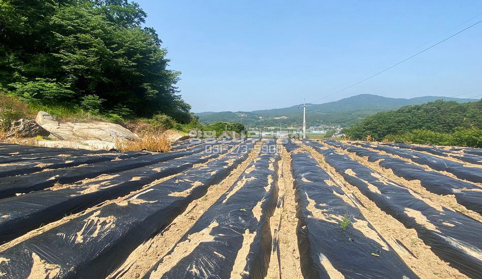 양평군 지평면 옥현리 자연석 토목 주택지