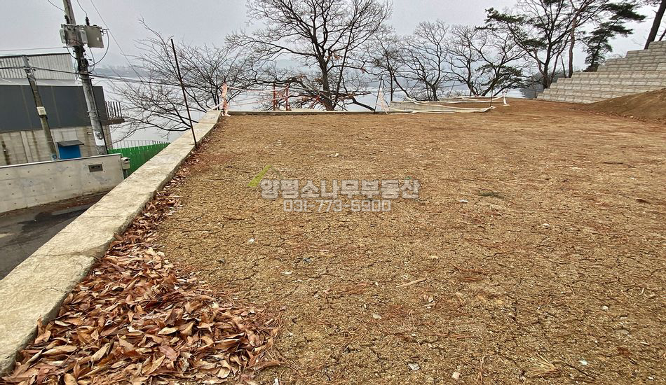 양평군 양서면 대심리 초근접 남한강 조망 부지