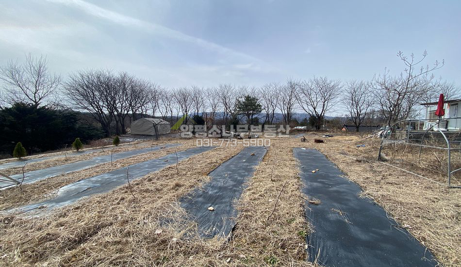 양평군 양평읍 회현리 완만한 경사지 주택지