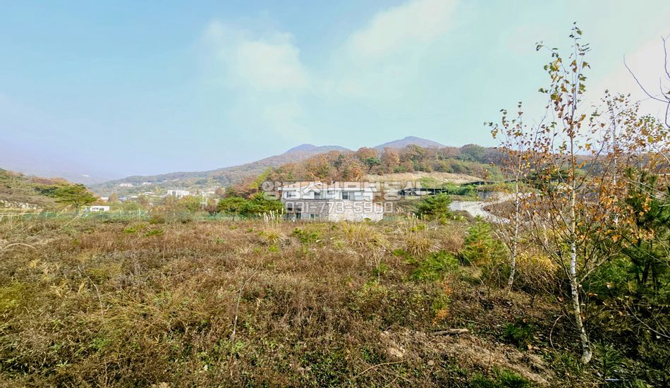 양평군 옥천면 용천리 마을 안 전망좋고 조용한 주택지