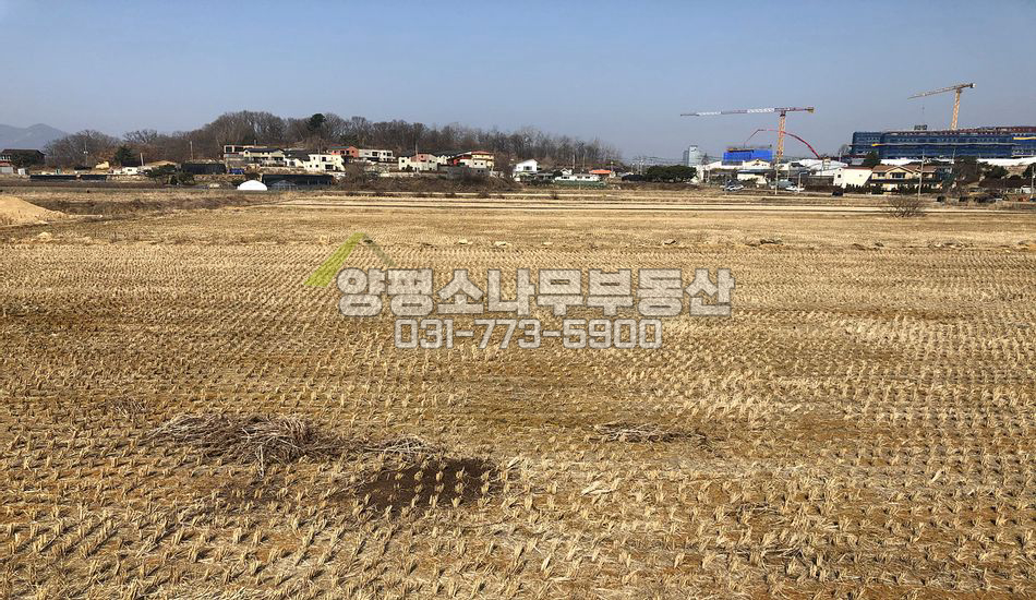 양평군 양평읍 창대리 경쟁력 있는 진흥농지