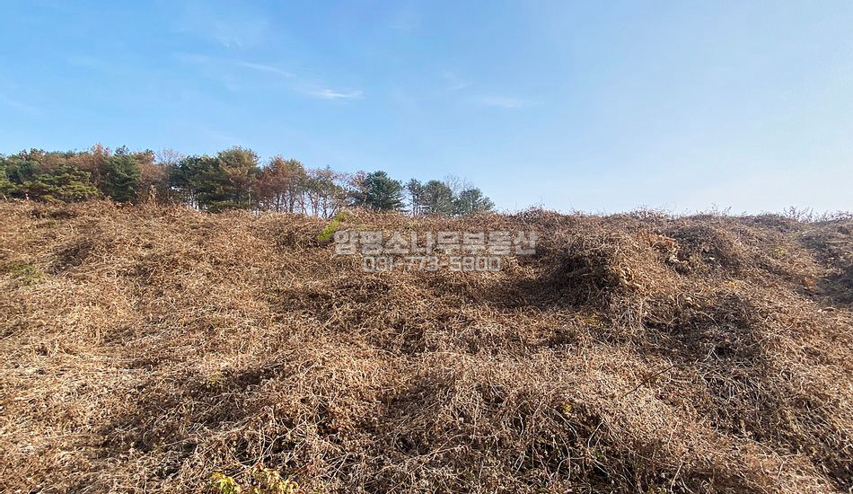 양평군 양동면 계정리 접근성 좋은 부지 분할매매