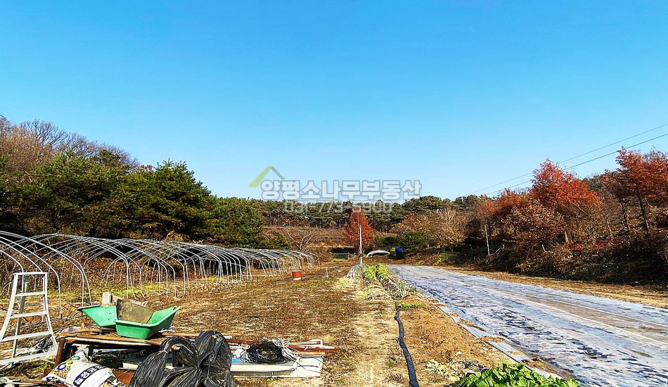 양평군 지평면 옥현리 완만한 계획관리 임야 개발부지