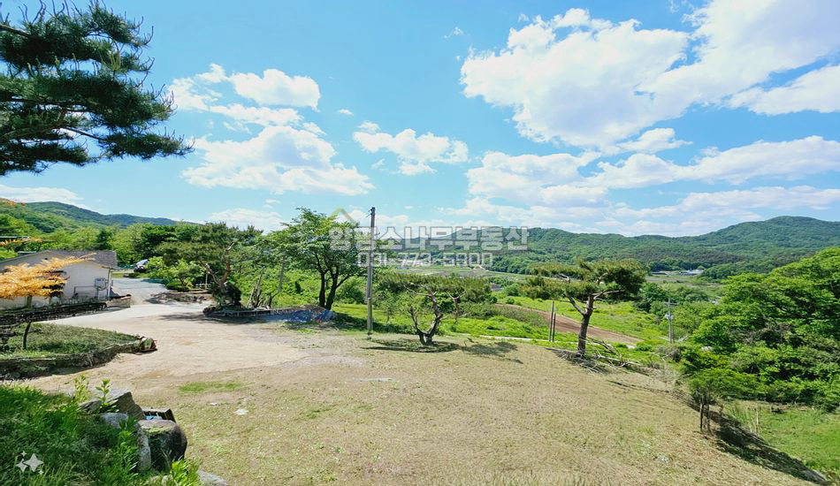 양평군 지평면 망미리 도로끝 마을 상단부 평편한 부지