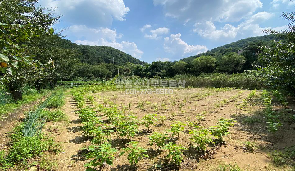 양평군 지평면 월산리 자연스런 동네 잘닦인 주택지