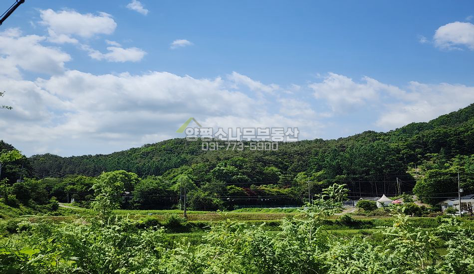 양평군 지평면 월산리 자연림 임야 개발부지/국유림 접함