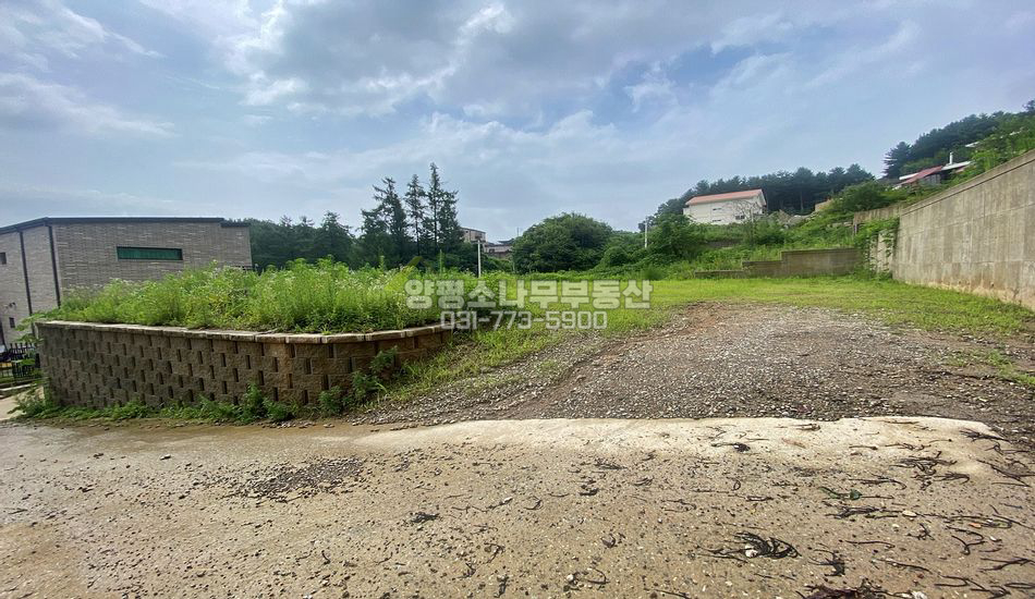 양평군 양서면 국수리 국수역 도보20분 주택지