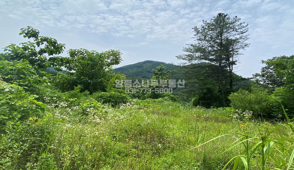 양평군 서종면 수입리 서종ic5분 한적한 주택지
