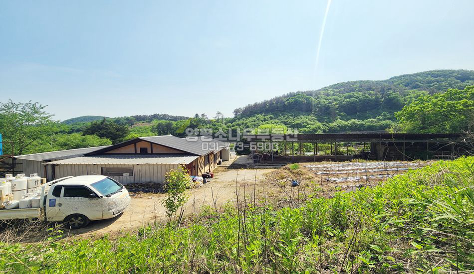 양평군 용문면 신점리 용문산가는길 넓은 건물2동