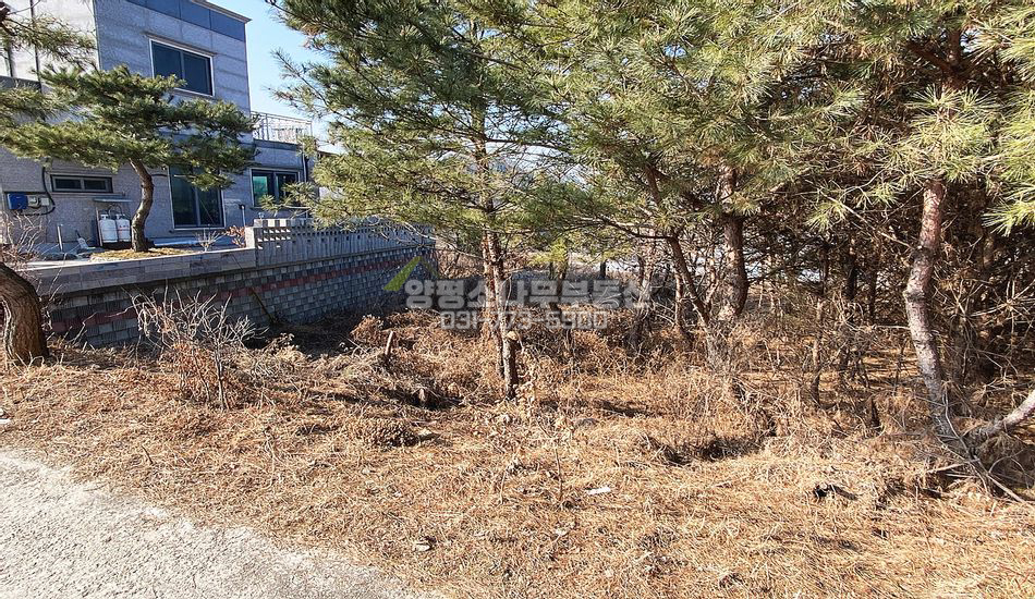 양평군 개군면 공세리 원덕역 도보가능 주택지