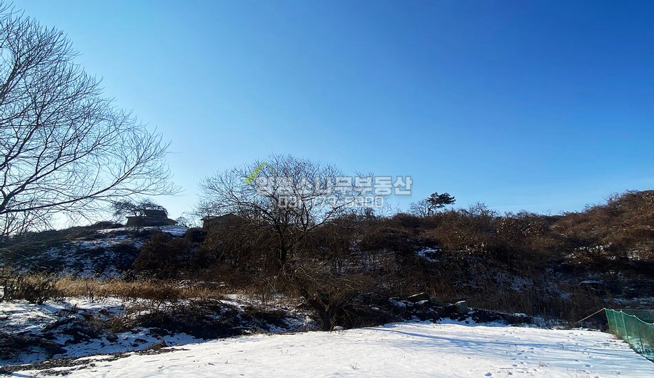 양평군 양평읍 신애리 완만한 자연림 개발부지