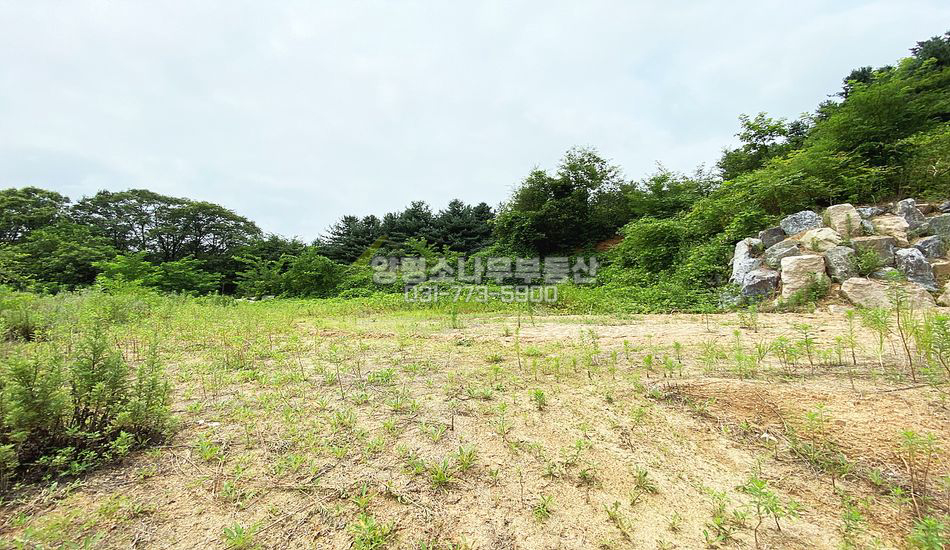 양평군 양서면 도곡리 마을최상단 영구조망 산자락 주택지