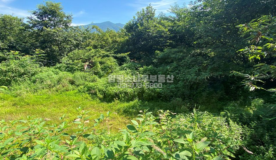 양평군 옥천면 신복리 신복리 전망좋은 필지