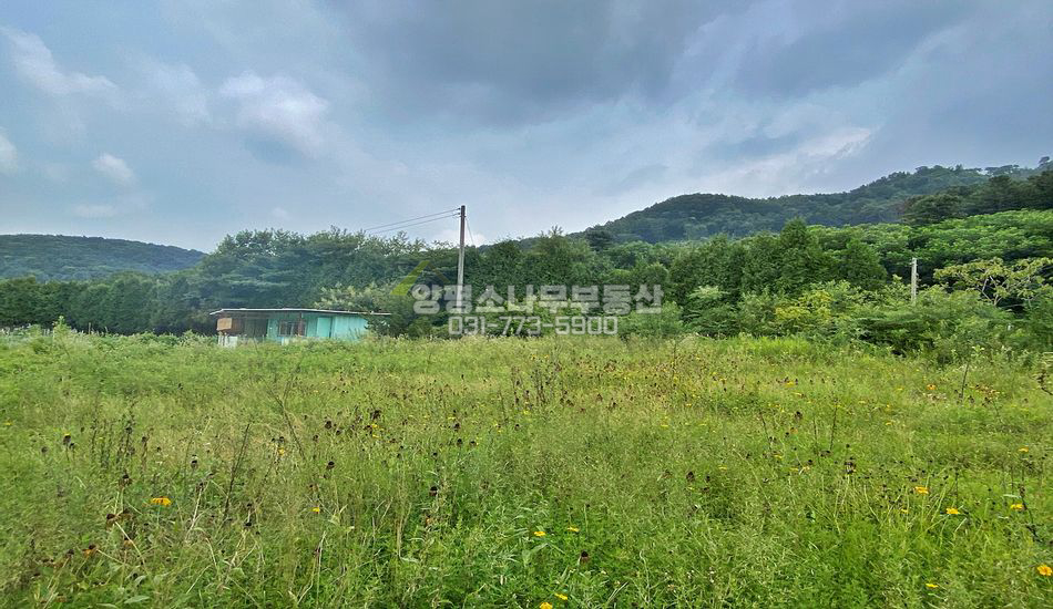 양평군 서종면 서후리 자연스런 마을내 평지 주택지