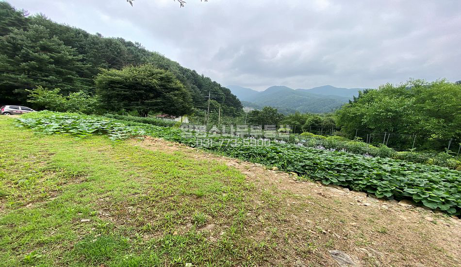 양평군 서종면 서후리 마을상단 구거접한 전망좋은 땅
