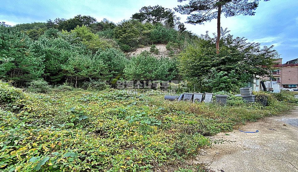 양평군 양동면 단석리 동양평ic 5분 주택지