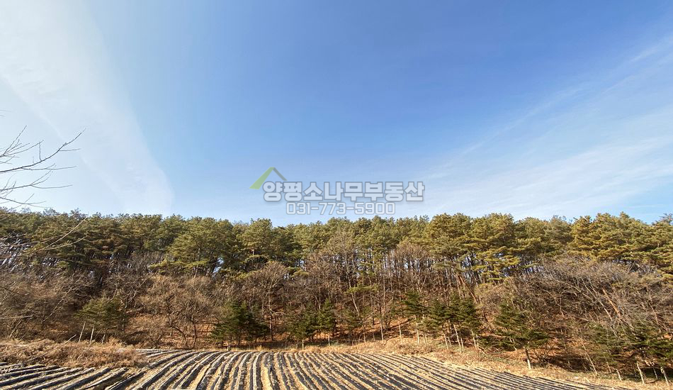 양평군 서종면 수능리 자연림 맹지