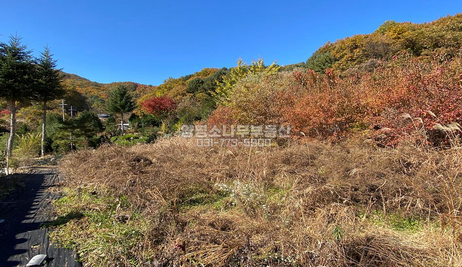 양평군 단월면 석산리 마을 깊숙한곳 풍광좋은 주택지