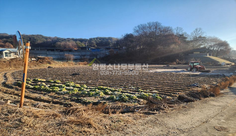 홍천군 남면 시동리 편의시설 도보 아늑한 주택지