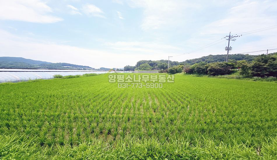 양평군 개군면 부리 평지 길쭉한 진흥구역 농지