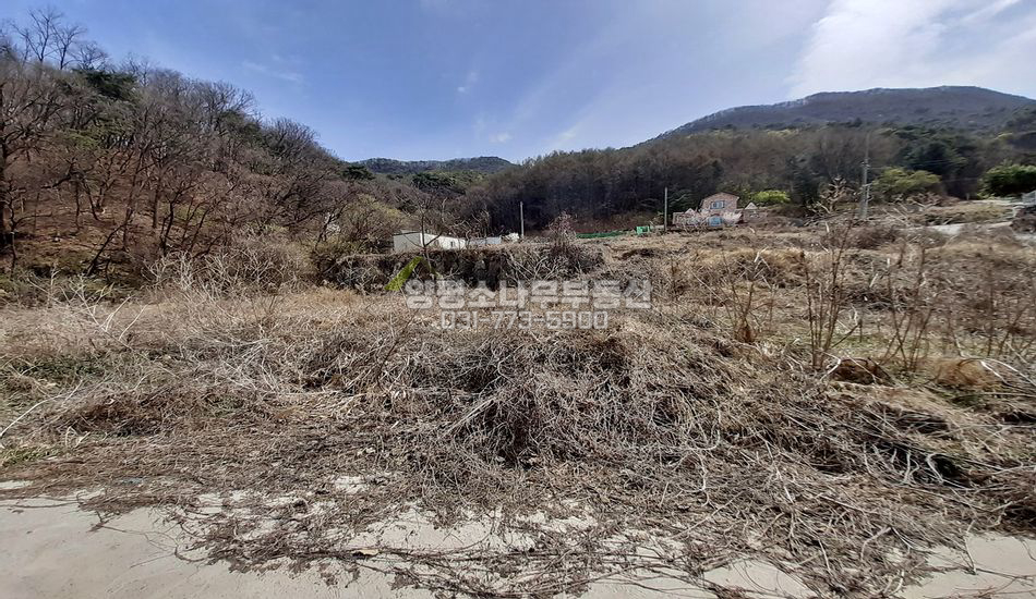 양평군 용문면 삼성리 산자락/네모반듯/트인전망
