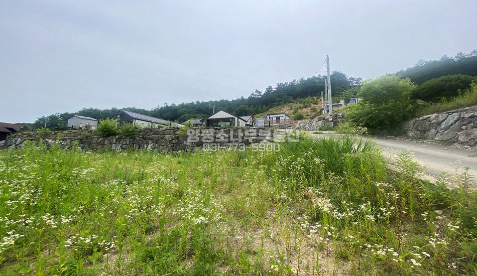 양평군 단월면 봉상리 진출입 편안한 대단지 주택지