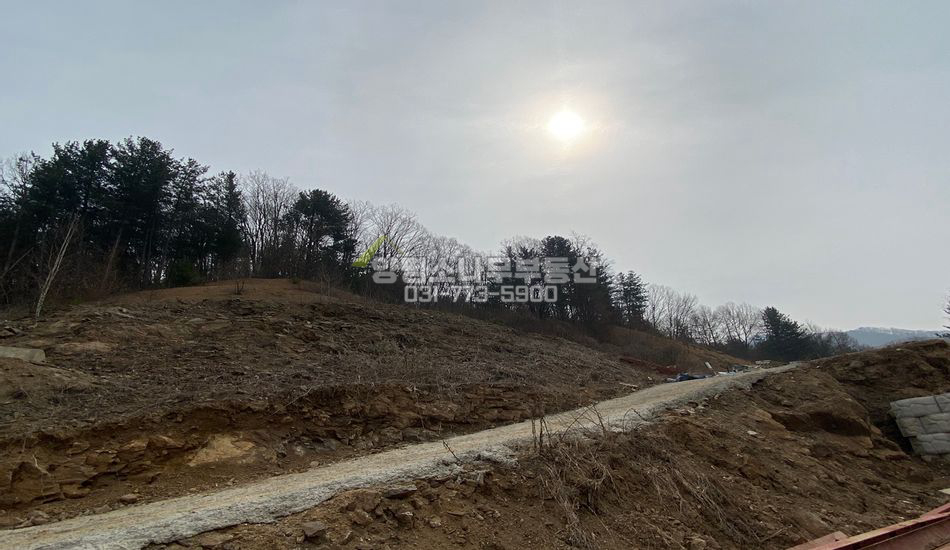 양평군 서종면 수능리 토목필요 자연림 주택지