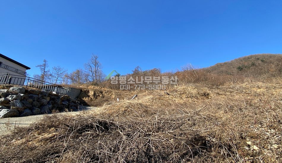 양평군 양서면 청계리 단지상단 주택지