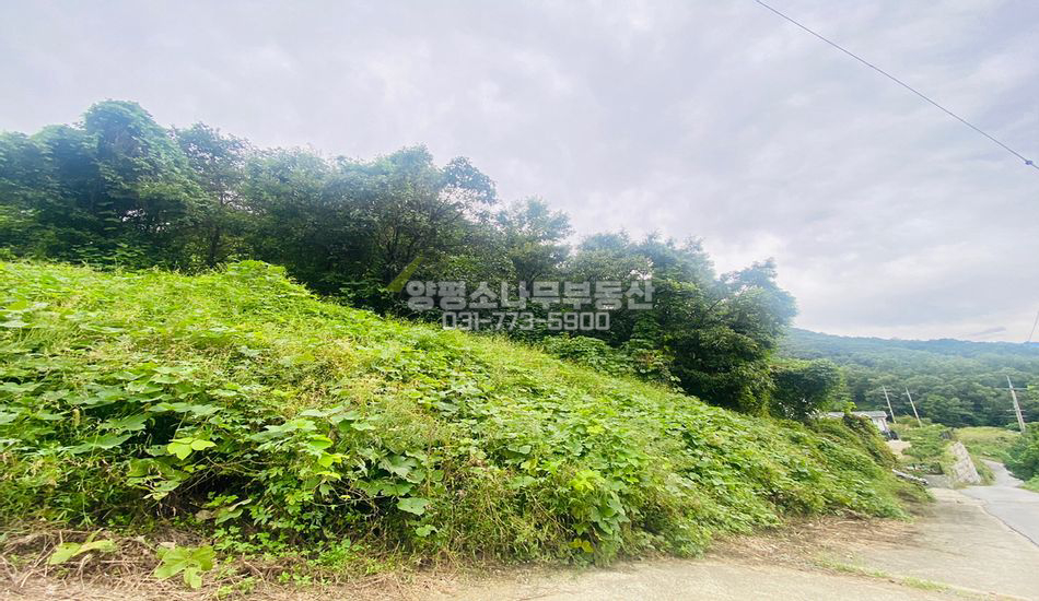 양평군 강상면 병산리 마을 상단 전망좋은 땅/토목필요