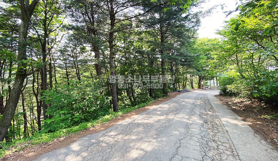 양평군 서종면 수입리 넓은 도로에 접한 경사지