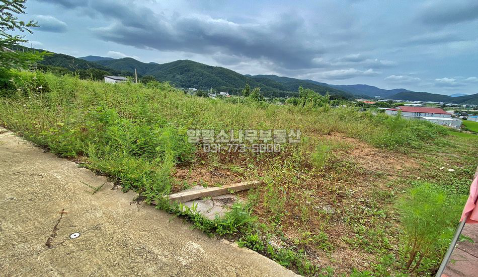 양평군 청운면 가현리 단지초입 주택지/기반완비