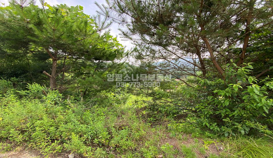 양평군 옥천면 신복리 마을 안쪽 주택지,펜션부지