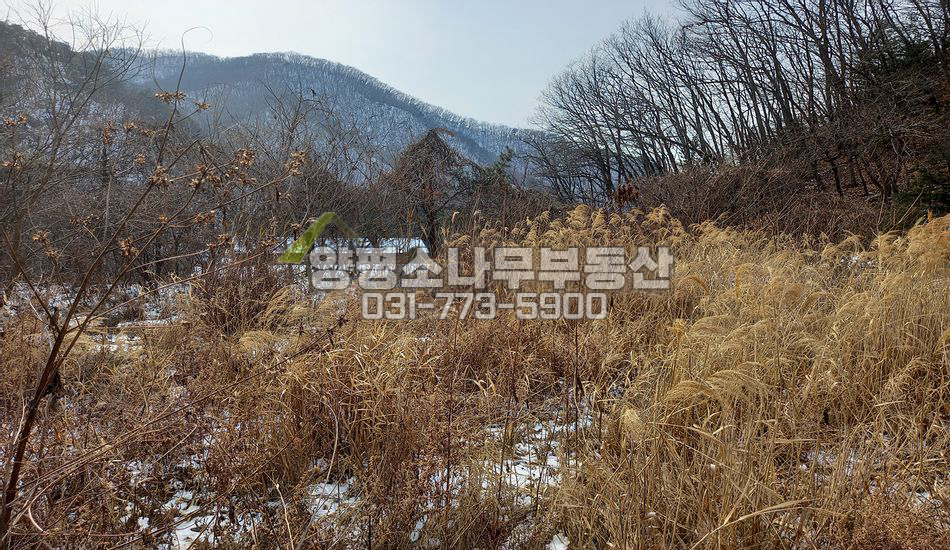 양평군 서종면 문호리 소규모 마을 주택지/서종면사무소3.3km