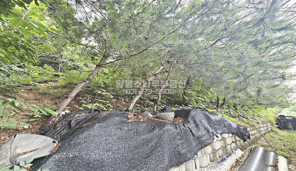양평군 양동면 고송리 완만한 마을상단 자연림 필지